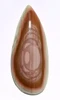 LARGE ROYAL IMPERIAL JASPER CABOCHON GEMSTONE  *G58