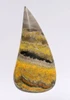 LARGE EXCEPTIONAL BUMBLEBEE JASPER CABOCHON GEMSTONE  *G29