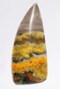 LARGE EXCEPTIONAL BUMBLEBEE JASPER CABOCHON GEMSTONE  *G33