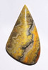 EXCEPTIONAL BUMBLEBEE JASPER CABOCHON GEMSTONE  *G39