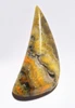 EXCEPTIONAL BUMBLEBEE JASPER CABOCHON GEMSTONE  *G40