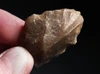 CRO MAGNON AURIGNACIAN UPPER PALEOLITHIC FLINT RABOT PLANER FLAKE TOOL WITH BUTCHERED MEGAFAUNA FOSSIL BONE FROM FAMOUS LA GANE SITE IN FRANCE  *UP093