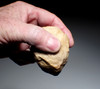 RARE TAUTAVEL MAN QUARTZ LOWER PALEOLITHIC MODE I PEBBLE TOOL - THE EARLIEST HUMANS IN FRANCE  *PB225