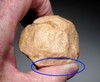 RARE TAUTAVEL MAN QUARTZ LOWER PALEOLITHIC MODE I PEBBLE TOOL - THE EARLIEST HUMANS IN FRANCE  *PB225