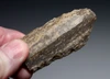 CRO MAGNON AURIGNACIAN UPPER PALEOLITHIC LARGE FLINT BLADE KNIFE TOOL WITH BUTCHERED MEGAFAUNA FOSSIL BONES FROM FAMOUS LA GANE SITE IN FRANCE  *UP088