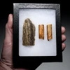 CRO MAGNON AURIGNACIAN UPPER PALEOLITHIC LARGE FLINT BLADE KNIFE TOOL WITH BUTCHERED MEGAFAUNA FOSSIL BONES FROM FAMOUS LA GANE SITE IN FRANCE  *UP088