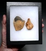 CRO MAGNON AURIGNACIAN UPPER PALEOLITHIC FLINT RABOT PLANER FLAKE TOOL WITH BUTCHERED MEGAFAUNA FOSSIL BONE FROM FAMOUS LA GANE SITE IN FRANCE  *UP095