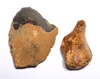 CRO MAGNON AURIGNACIAN UPPER PALEOLITHIC FLINT RABOT PLANER FLAKE TOOL WITH BUTCHERED MEGAFAUNA FOSSIL BONE FROM FAMOUS LA GANE SITE IN FRANCE  *UP095
