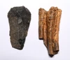 CRO MAGNON AURIGNACIAN UPPER PALEOLITHIC FLINT SCRAPER FLAKE TOOL WITH BUTCHERED FOSSIL HORSE TOOTH FROM FAMOUS LA GANE SITE IN FRANCE  *UP089