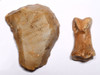 SUPERB CRO MAGNON AURIGNACIAN UPPER PALEOLITHIC FLINT RABOT PLANER FLAKE TOOL WITH BUTCHERED MEGAFAUNA FOSSIL BONE FROM FAMOUS LA GANE SITE IN FRANCE  *UP094