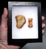 SUPERB CRO MAGNON AURIGNACIAN UPPER PALEOLITHIC FLINT RABOT PLANER FLAKE TOOL WITH BUTCHERED MEGAFAUNA FOSSIL BONE FROM FAMOUS LA GANE SITE IN FRANCE  *UP094