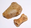SUPERB CRO MAGNON AURIGNACIAN UPPER PALEOLITHIC FLINT RABOT PLANER FLAKE TOOL WITH BUTCHERED MEGAFAUNA FOSSIL BONE FROM FAMOUS LA GANE SITE IN FRANCE  *UP094