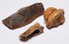 CRO MAGNON AURIGNACIAN UPPER PALEOLITHIC FLINT COMBINATION TOOL WITH BUTCHERED MEGAFAUNA FOSSIL BONES FROM FAMOUS LA GANE SITE IN FRANCE  *UP090