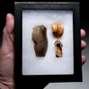 CRO MAGNON AURIGNACIAN UPPER PALEOLITHIC FLINT COMBINATION TOOL WITH BUTCHERED MEGAFAUNA FOSSIL BONES FROM FAMOUS LA GANE SITE IN FRANCE  *UP090