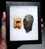 LARGE SUPERB CRO MAGNON AURIGNACIAN UPPER PALEOLITHIC FLINT COMBINATION TOOL WITH BUTCHERED BISON FOSSIL ANGLE BONE FROM FAMOUS LA GANE SITE IN FRANCE  *UP085