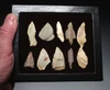 TEN CHOICE QUALITY CAPSIAN AFRICAN NEOLITHIC STONE ARROWHEADS AND FLAKE TOOLS  *CAP508