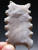 LARGE MAYAN PRE-COLUMBIAN ABSTRACT FAT CENTIPEDE STONE ECCENTRIC EFFIGY  *PC715