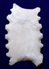 LARGE MAYAN PRE-COLUMBIAN ABSTRACT FAT CENTIPEDE STONE ECCENTRIC EFFIGY  *PC715