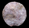 MAYAN PRE-COLUMBIAN SUN MOON DISK FLAKED STONE ECCENTRIC EFFIGY  *PC711