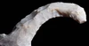 EXTREMELY RARE MAYAN PRE-COLUMBIAN FLAKED STONE PHALLUS EFFIGY ECCENTRIC   *PC714
