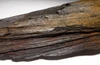 LARGE COLORFUL EXCEPTIONAL FOSSIL PETRIFIED WOOD LOG FROM MIOCENE EUROPE *PMW003