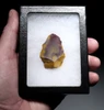 BEAUTIFULLY COLORED JASPER NEANDERTHAL SPEARHEAD MOUSTERIAN LEVALLOIS POINT FROM FONTMAURE FRANCE  *M567