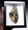 OUR FINEST LARGE NEANDERTHAL MOUSTERIAN SIDE SCRAPER FLAKE TOOL WITH QUINA RETOUCH FROM FAMOUS VEZERE VALLEY FRANCE  *M559