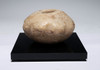 ANCIENT ASSYRIAN MARBLE STONE KNOBBED DISK WAR MACE HEAD WITH BATTLE WEAR FROM THE ANCIENT NEAR EAST  *R376