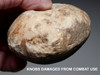 ANCIENT ASSYRIAN MARBLE STONE KNOBBED DISK WAR MACE HEAD WITH BATTLE WEAR FROM THE ANCIENT NEAR EAST  *R376