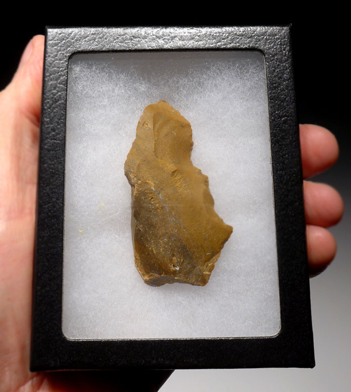 M316 - NEANDERTHAL MOUSTERIAN FLINT SAW FROM FAMOUS SITE IN FRANCE