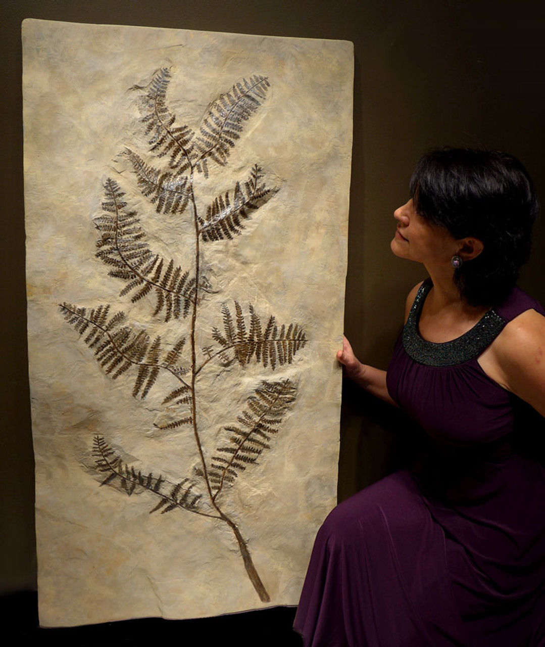 PLXX001 - LARGE, MUSEUM-CLASS RARE COMPLETE PREHISTORIC GIANT TREE FERN BRANCH WITH ALL FRONDS INTACT FROM THE PERMIAN PERIOD