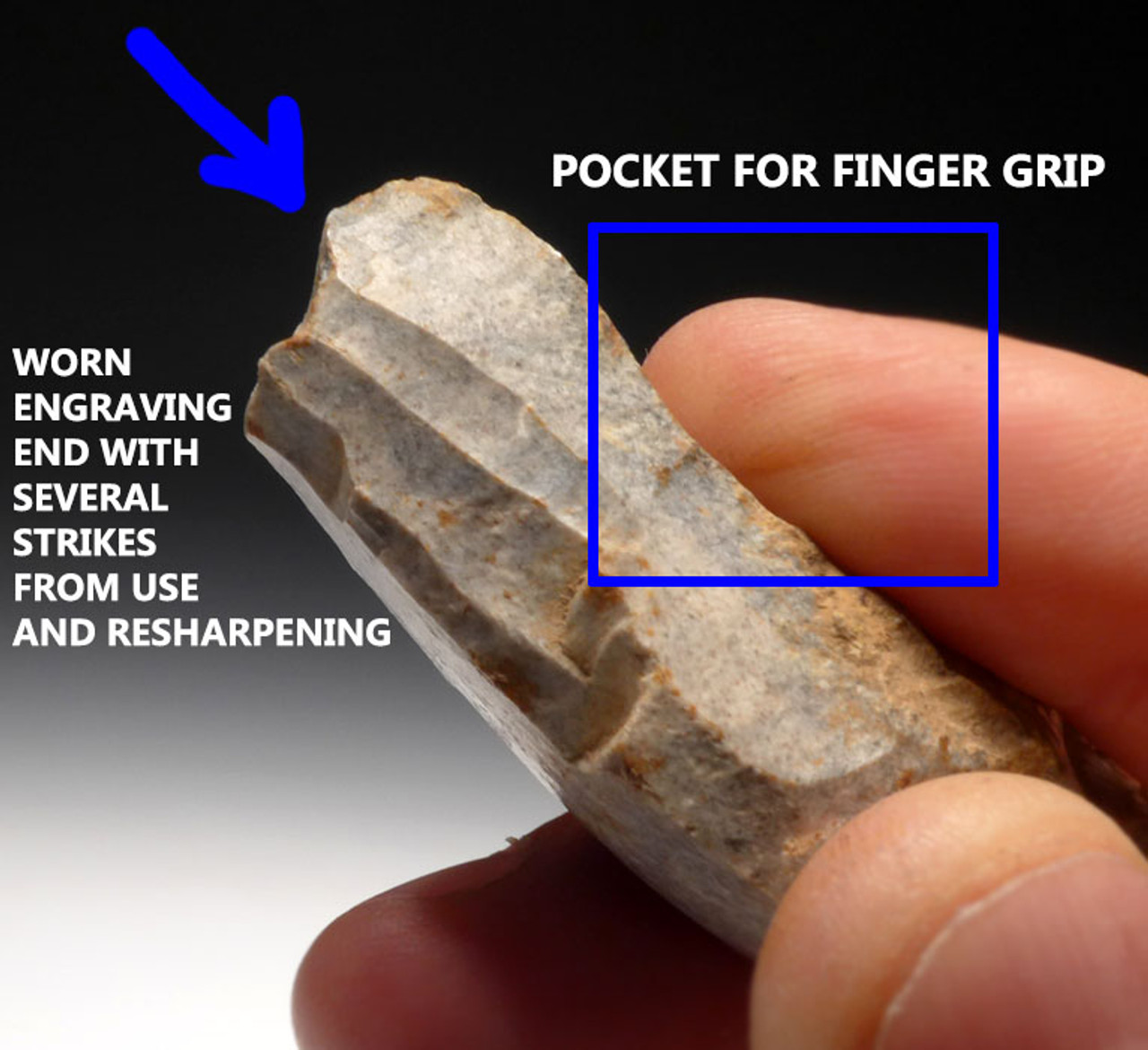 M345 - EXTENSIVELY USED MOUSTERIAN NEANDERTHAL BURIN GRAVER FLAKE TOOL FROM LE MOUSTIER TYPE SITE IN FRANCE