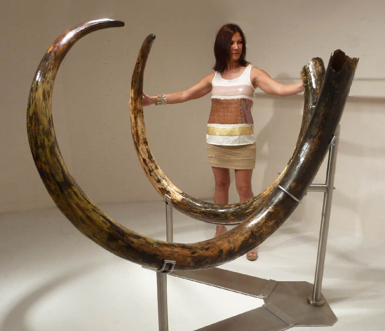 LARGEST PAIR OF MAMMOTH TUSKS