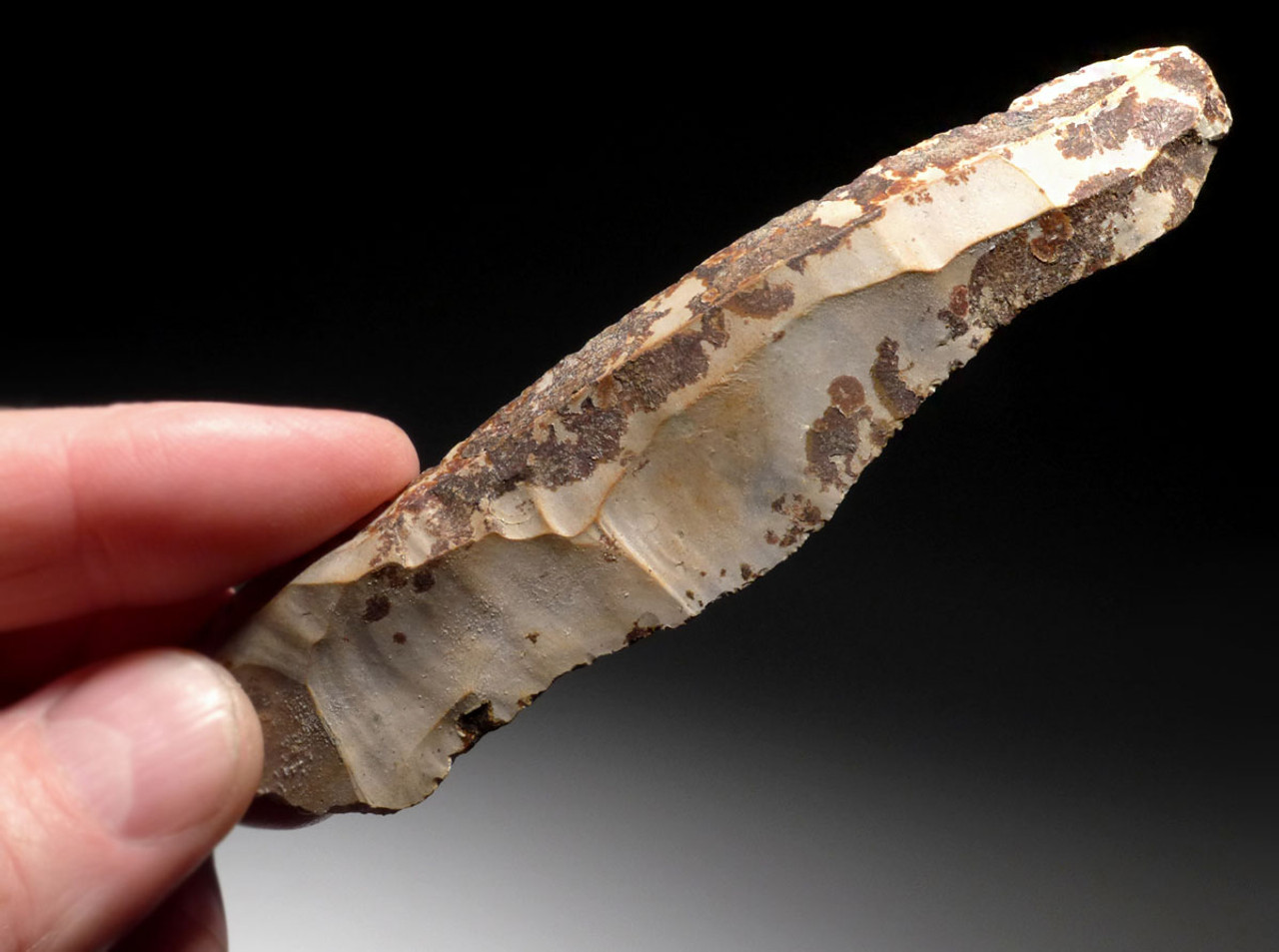 N162 - FINEST COLORFUL UNBROKEN LONG FLINT DANISH NEOLITHIC STONE KNIFE BLADE