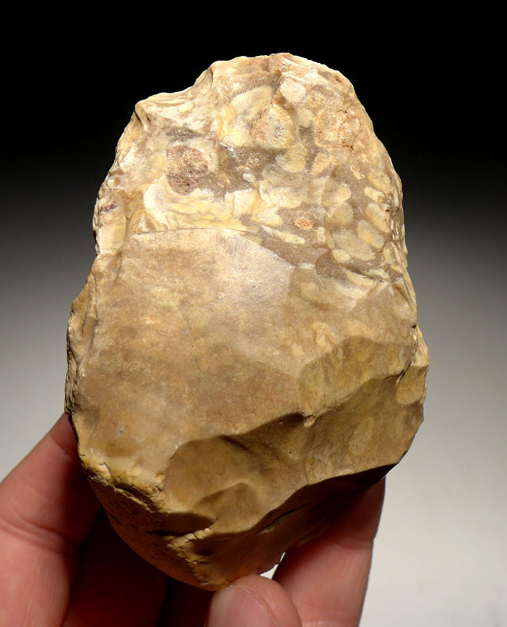 M362 - RARE MOUSTERIAN CLEAVER HAND AXE FROM AFRICA IN UNUSUAL PORPHYRIC FLINT