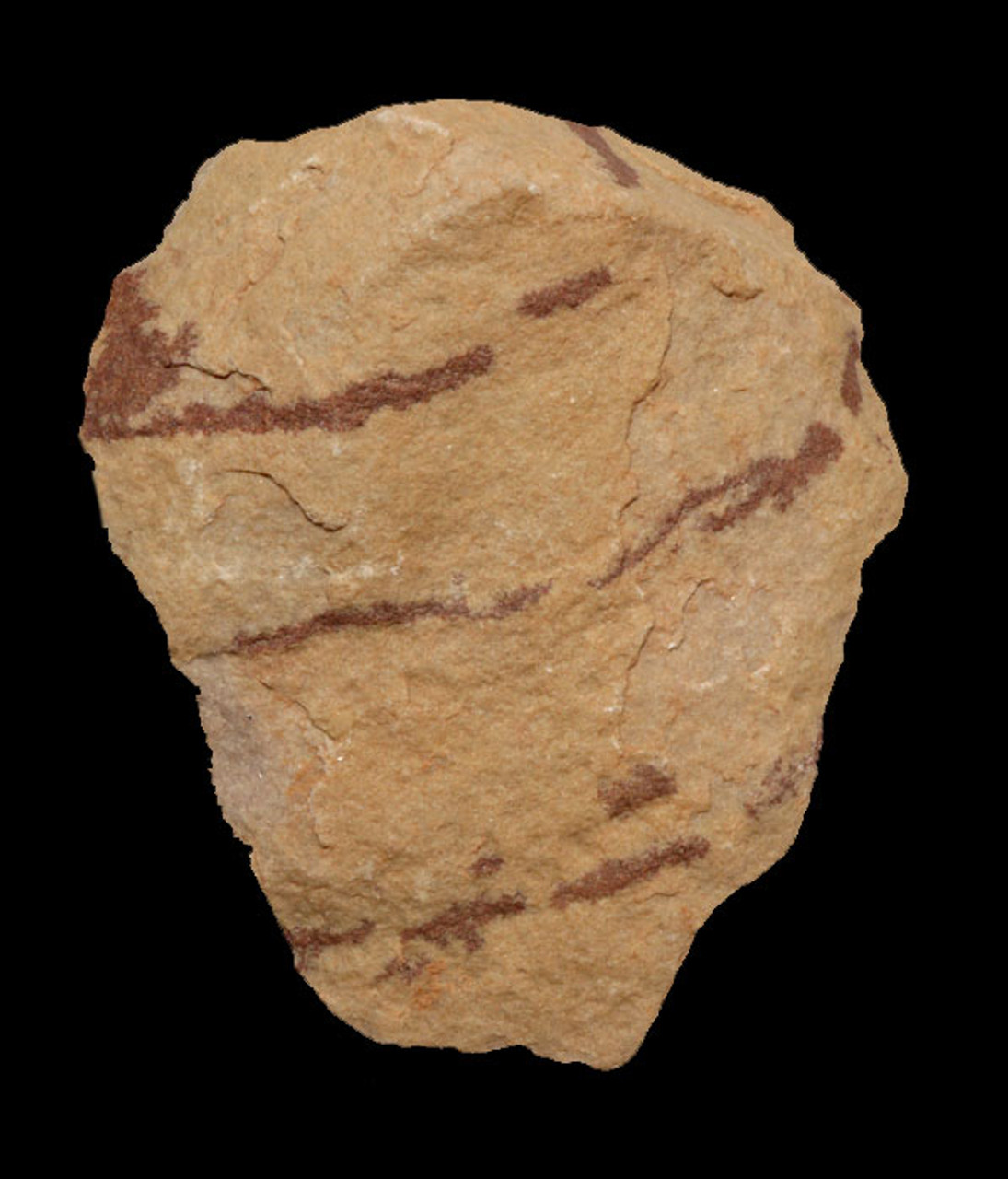 M349 - MOUSTERIAN QUARTZITE CORDATE HANDAXE IN STUNNING TIGER STRIPE QUARTZITE FROM THE NORTH SAHARA