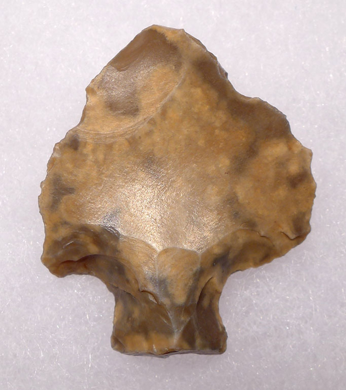 AT076 - BEAUTIFUL SPECKLED FLINT MIDDLE STONE AGE ATERIAN TANGED POINT - OLDEST ARROWHEAD