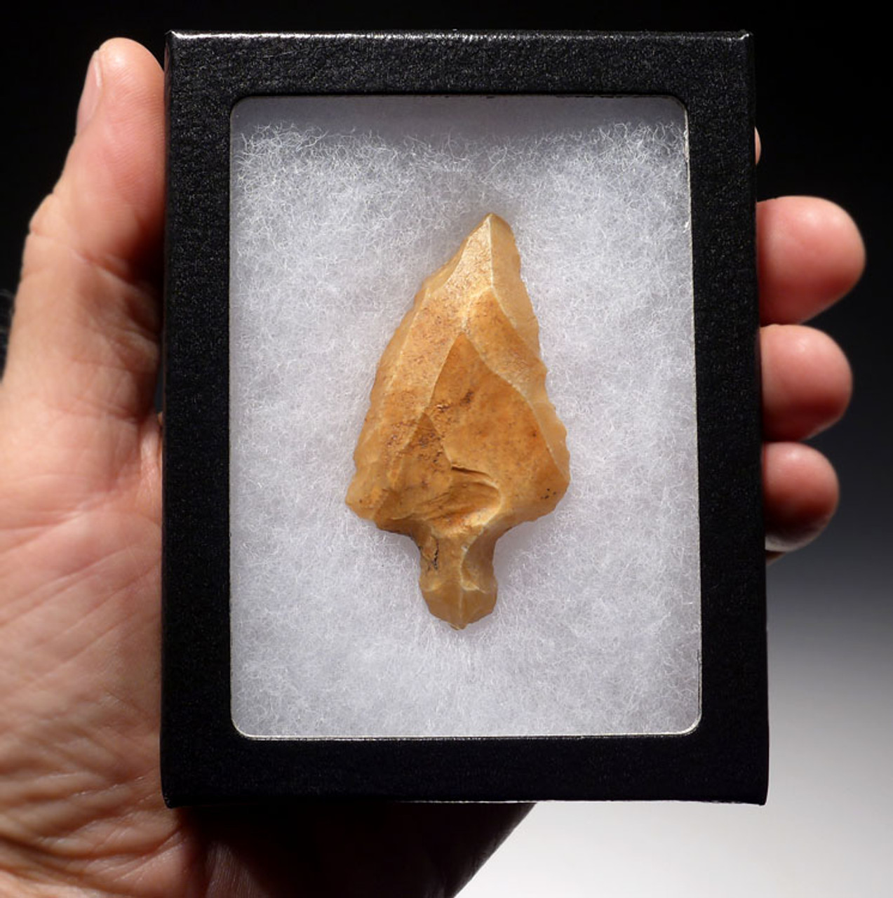 AT072 - CHOICE GRADE TRANSLUCENT MIDDLE PALEOLITHIC ATERIAN TANGED POINT - OLDEST ARROWHEAD