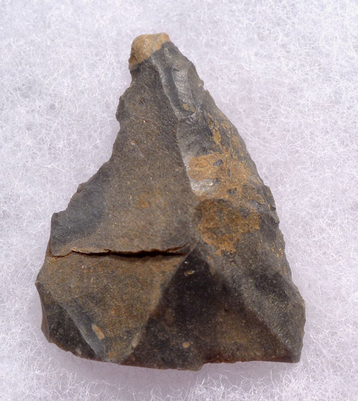 M370 - FINEST MOUSTERIAN NEANDERTHAL ENGRAVER FLAKE TOOL FROM FRANCE WITH AESTHETIC COLOR FEATURE
