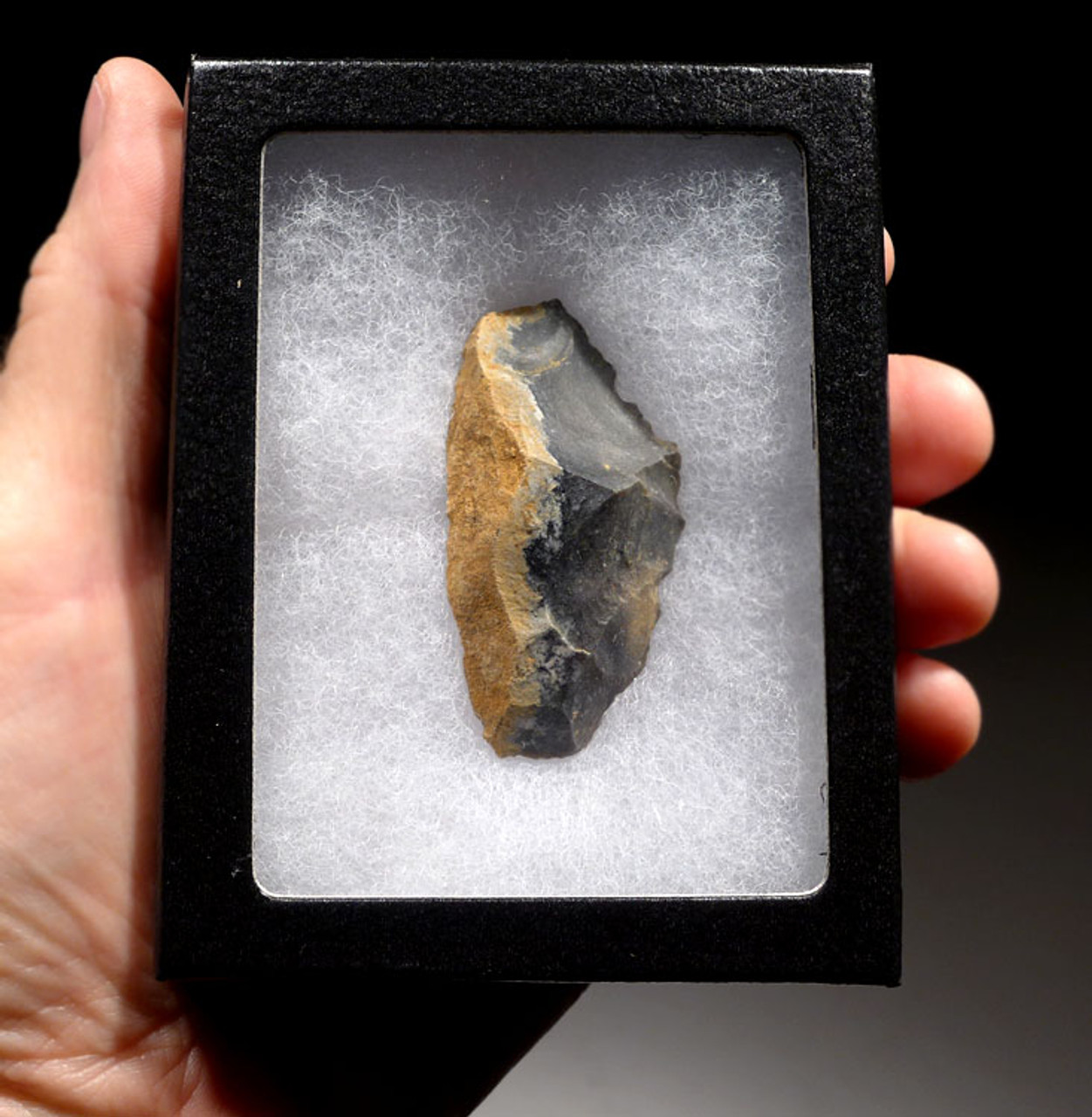 M371 - CHOICE NEANDERTHAL MOUSTERIAN FLINT SAW DENTICULATE FLAKE TOOL FROM FRANCE