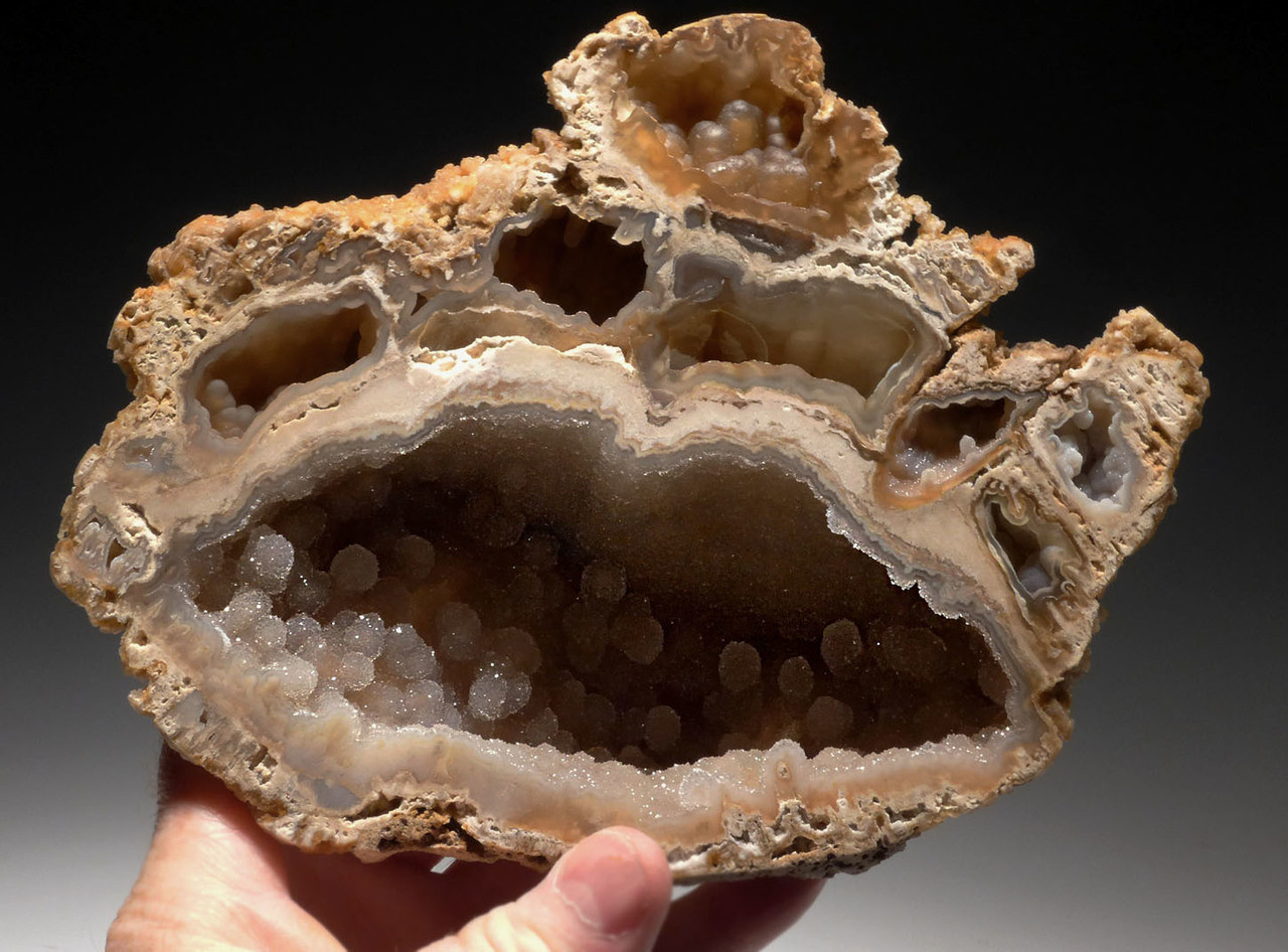 PCOR003 - ULTRA-RARE LARGE "DIAMOND CAVE" FOSSIL AGATIZED CORAL COLONY GEODE - BEST OF A HUGE COLLECTION