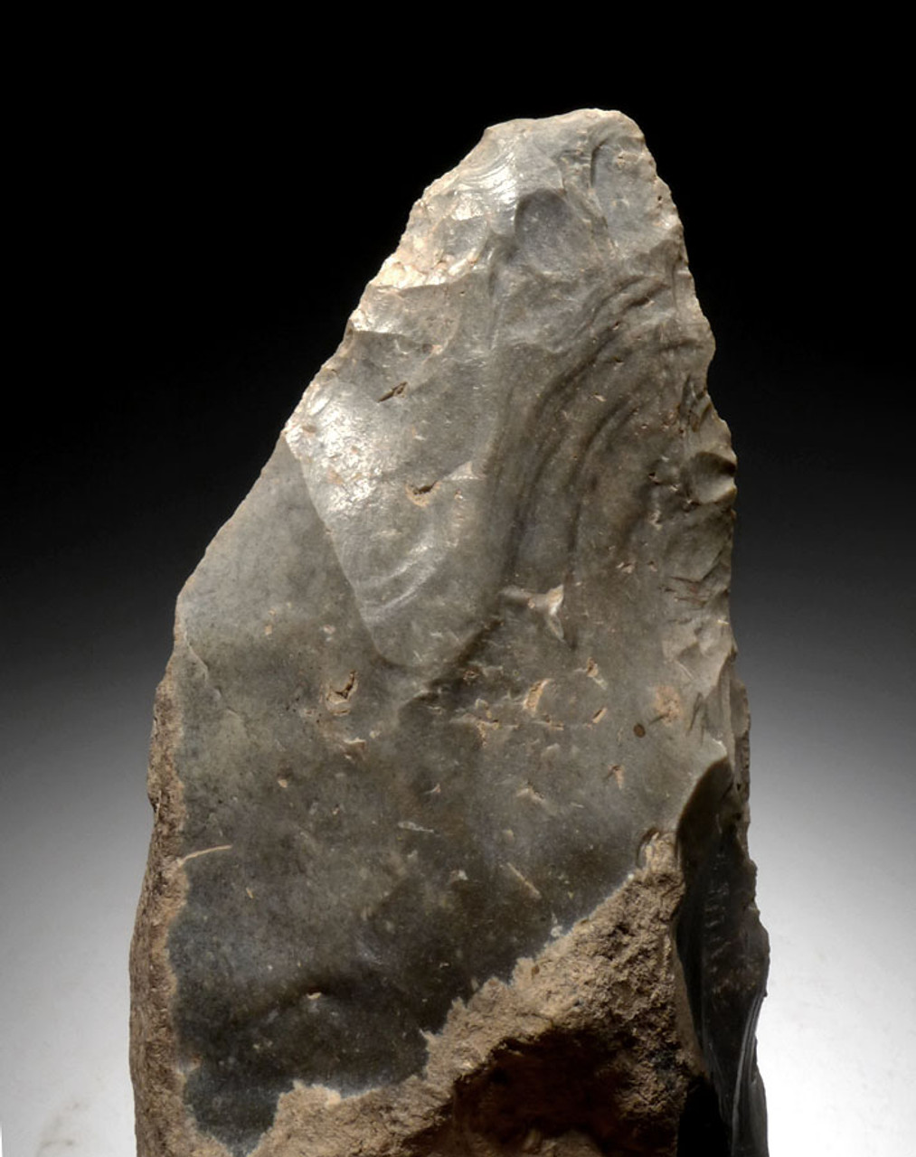 M380 - FINEST INVESTMENT GRADE MICOQUIEN NEANDERTHAL FLINT HAND AXE FROM FRANCE - OUR LARGEST AND FINEST EUROPEAN EXAMPLE EVER OFFERED