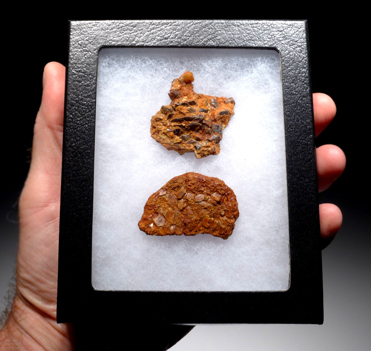 FOSSIL DROMAEOSAUR "RAPTOR" COPROLITES WITH DIGESTED FISH SCALES AND BONES *DT6-292