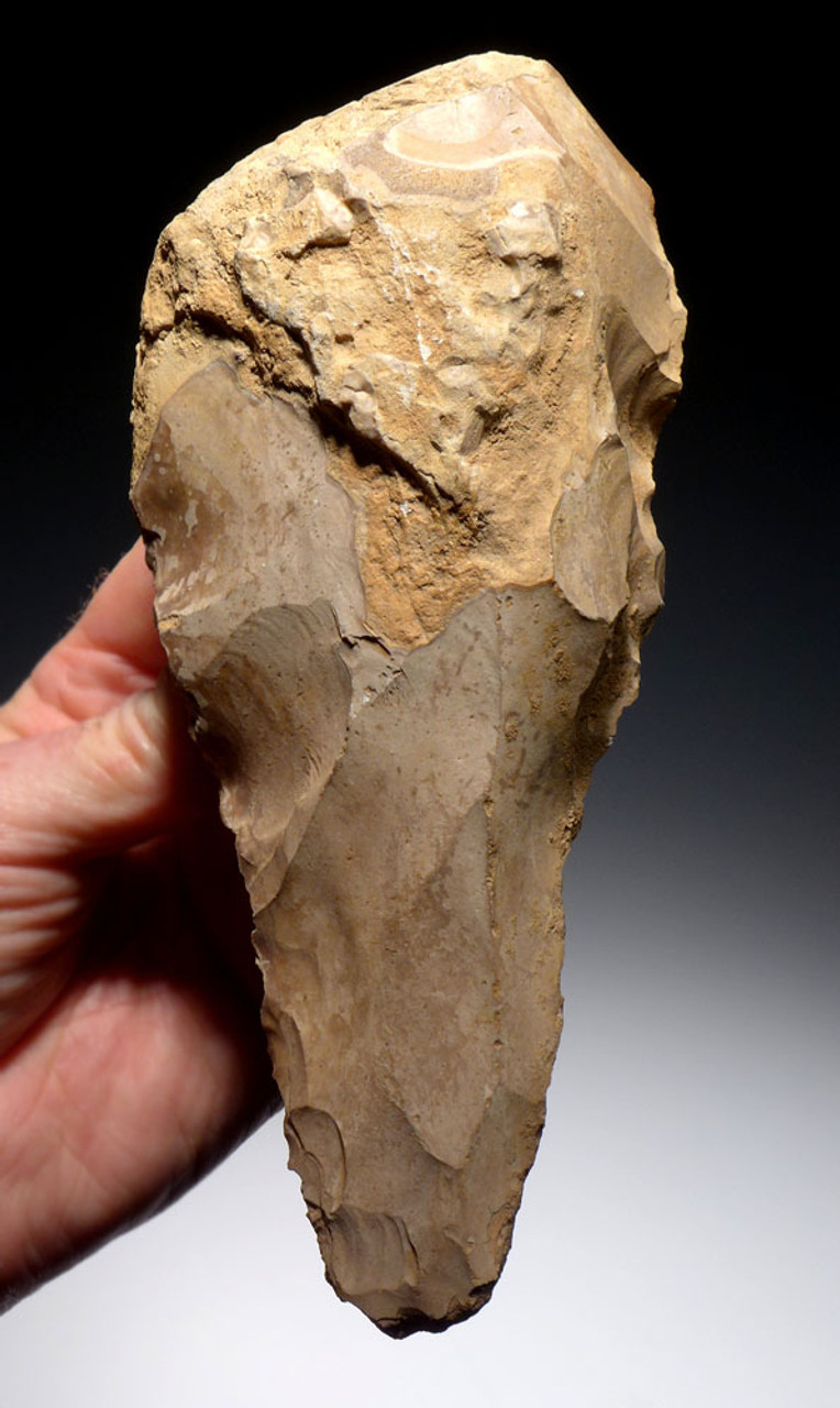 MUSEUM-CLASS ARABIAN DESERT STONE AGE ELONGATE ACHEULEAN BIFACIAL HAND AXE FROM JORDAN *ACH248