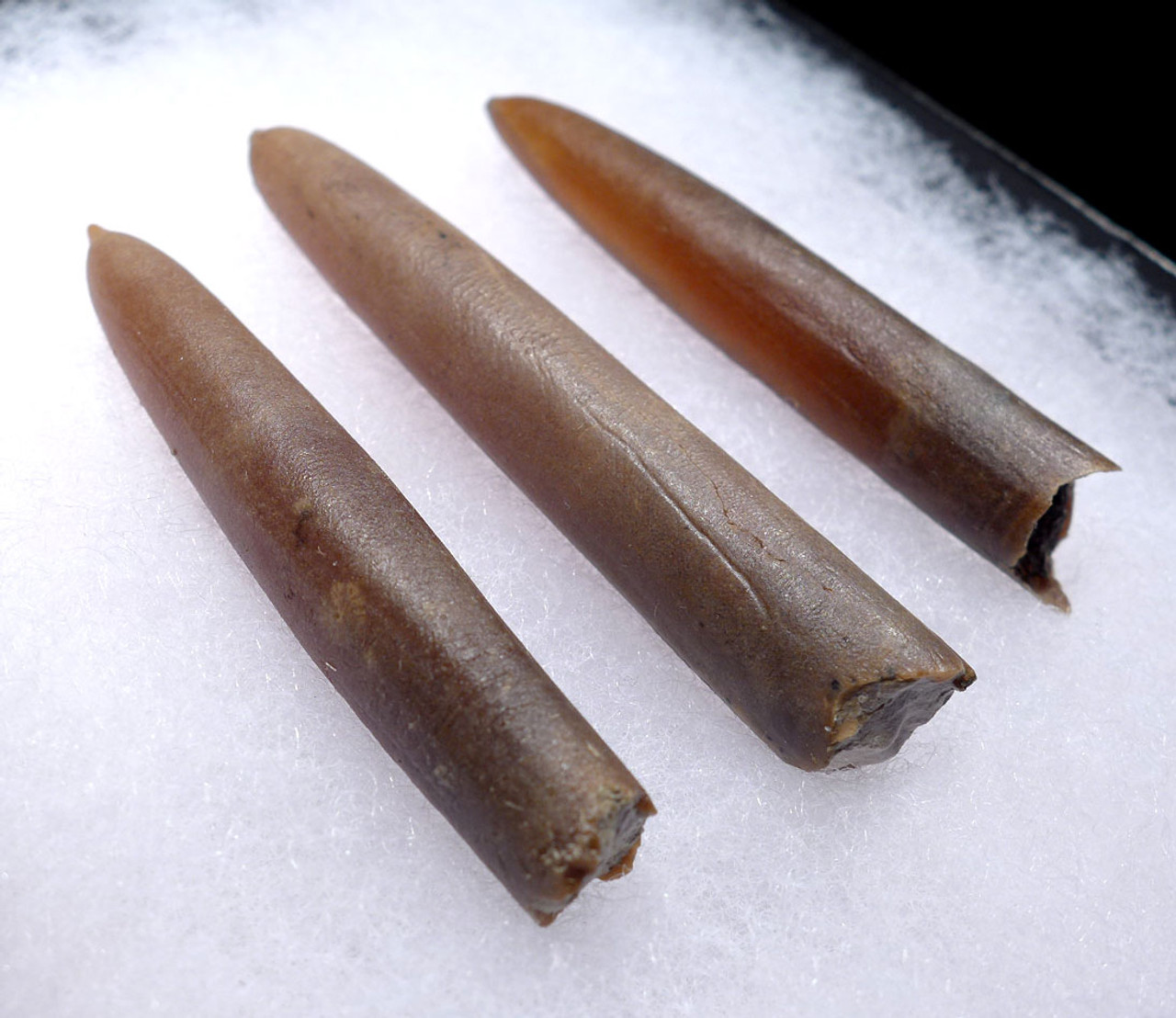 THREE NATURAL GONIOTEUTHIS SOLID CALCITE BELEMNITES FROM THE CRETACEOUS PERIOD *BEL105