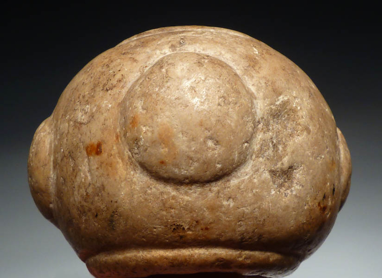 LARGE KNOBBED PRE-COLUMBIAN STONE MACE HEAD FROM CENTRAL AMERICA *PC030