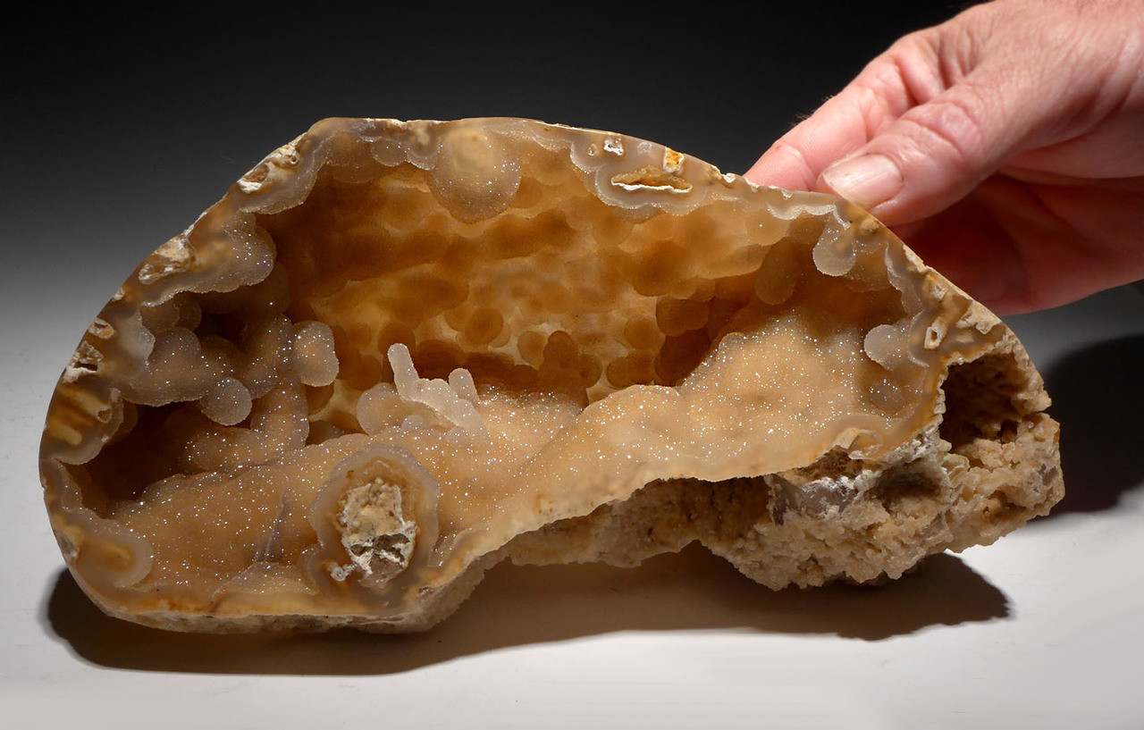 ULTRA-RARE LARGE "DIAMOND CAVE" FOSSIL AGATIZED CORAL COLONY GEODE - BEST OF A HUGE COLLECTION *PC0R004