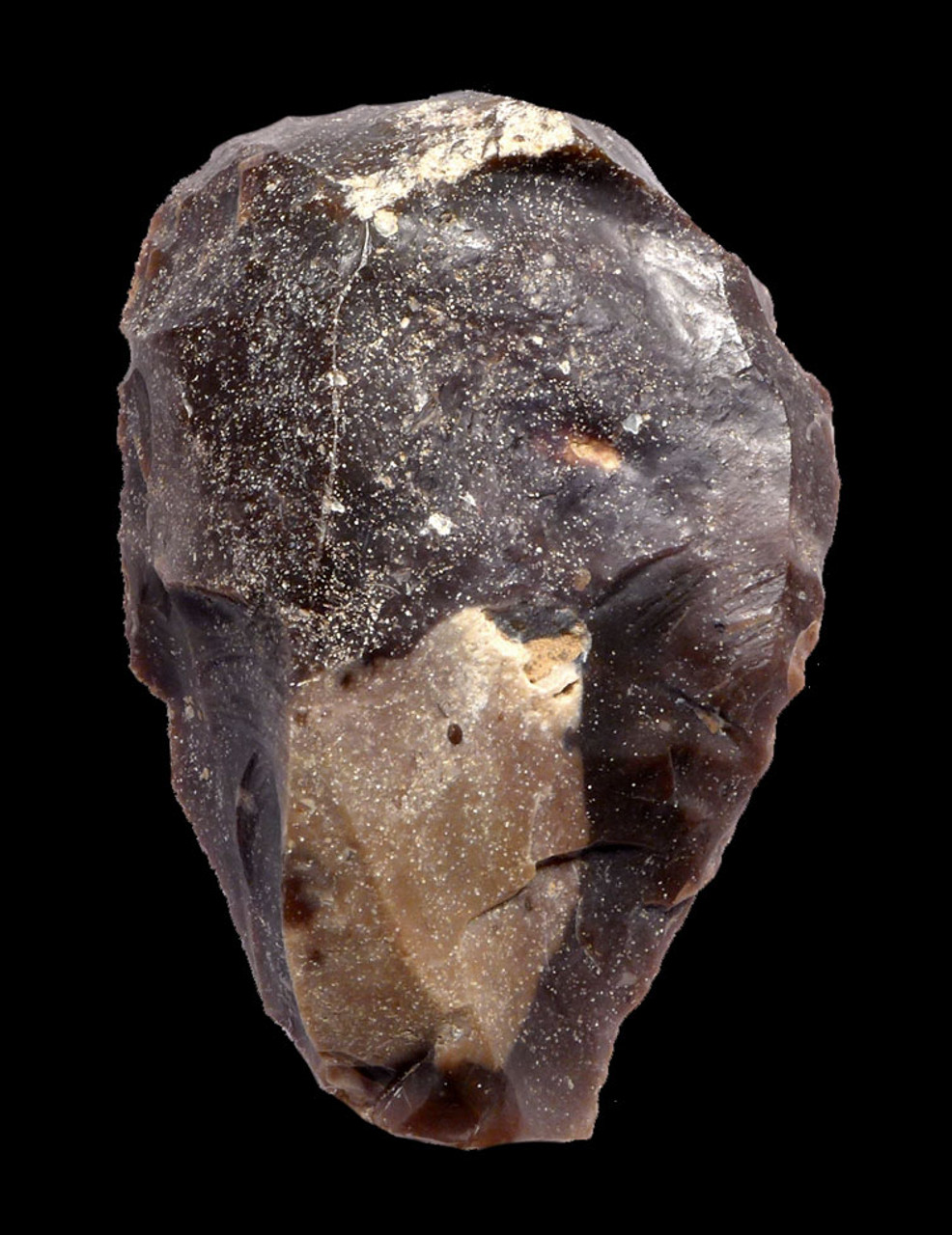 GIANT FINEST UNIFACIAL FLINT SCRAPER FROM THE AFRICAN CAPSIAN NEOLITHIC *CAP223