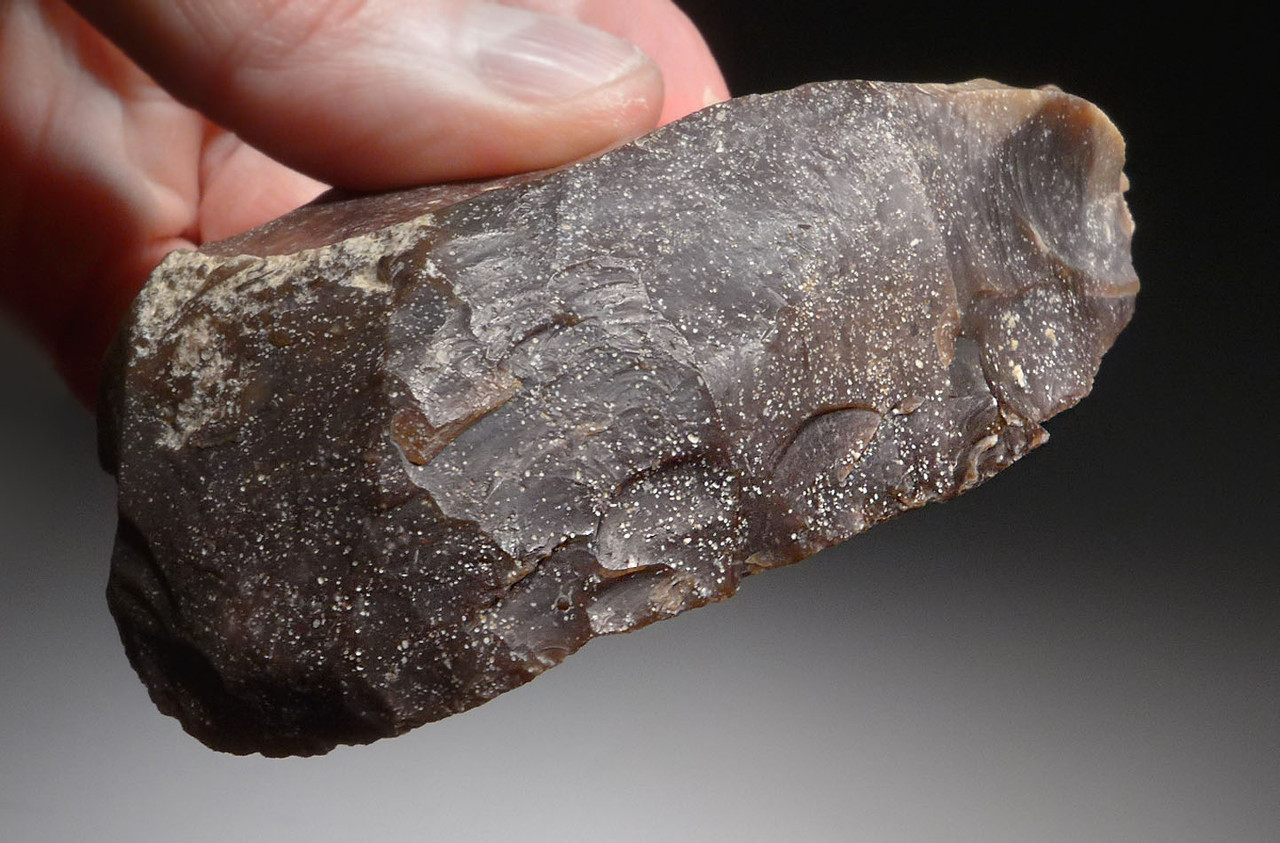 GIANT FINEST UNIFACIAL FLINT SCRAPER FROM THE AFRICAN CAPSIAN NEOLITHIC *CAP223