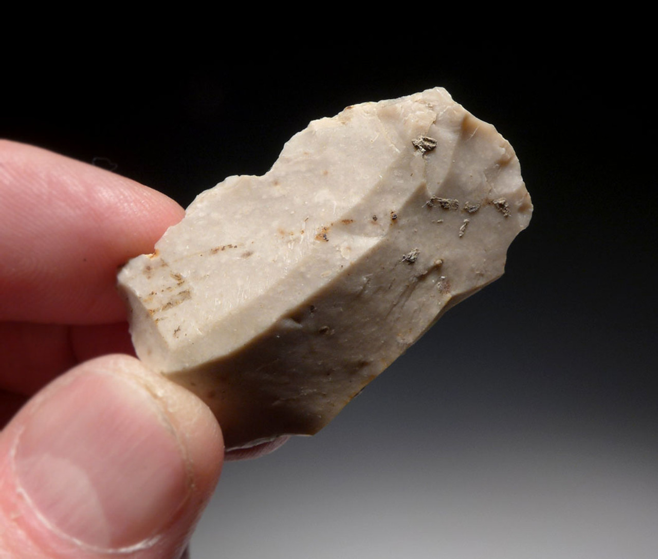 EUROPEAN NEOLITHIC STONE FLAKE TOOLS OF THE FUNNEL NECKED BEAKER CULTURE FROM GERMANY *N601